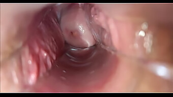 Intense Pleasure: Vaginal Contractions And Orgasm Close Up