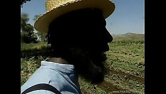 Amish Girl Feeling At Home In The Field