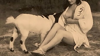 Questo È Un Video Tabù Di Una Donna Con Una Figa Pelosa E Grandi Tette Naturali Che Fa Sesso Con Un Cane All'Aperto.